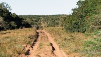 Zuid-Afrika-1144